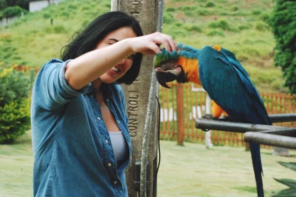 bio-parque-das-aves-e-nova-opcao-de-passeio-para-quem-visita-domingos-martins-na-regiao-serrana-do-es-572674-article