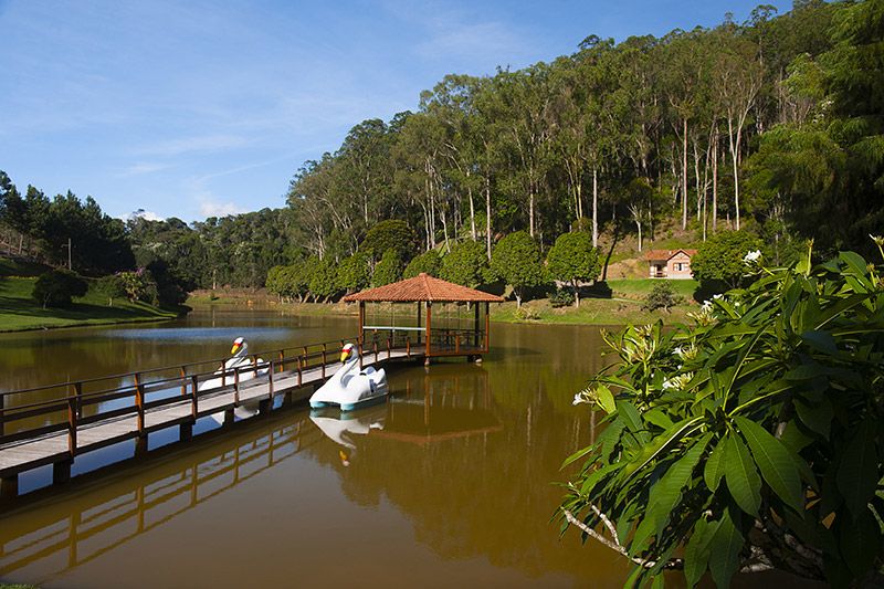 imagem3
