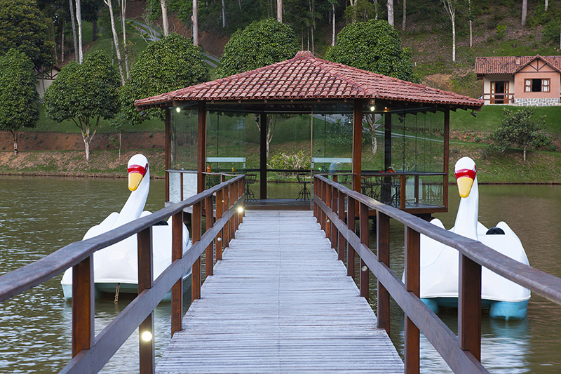 imagem7